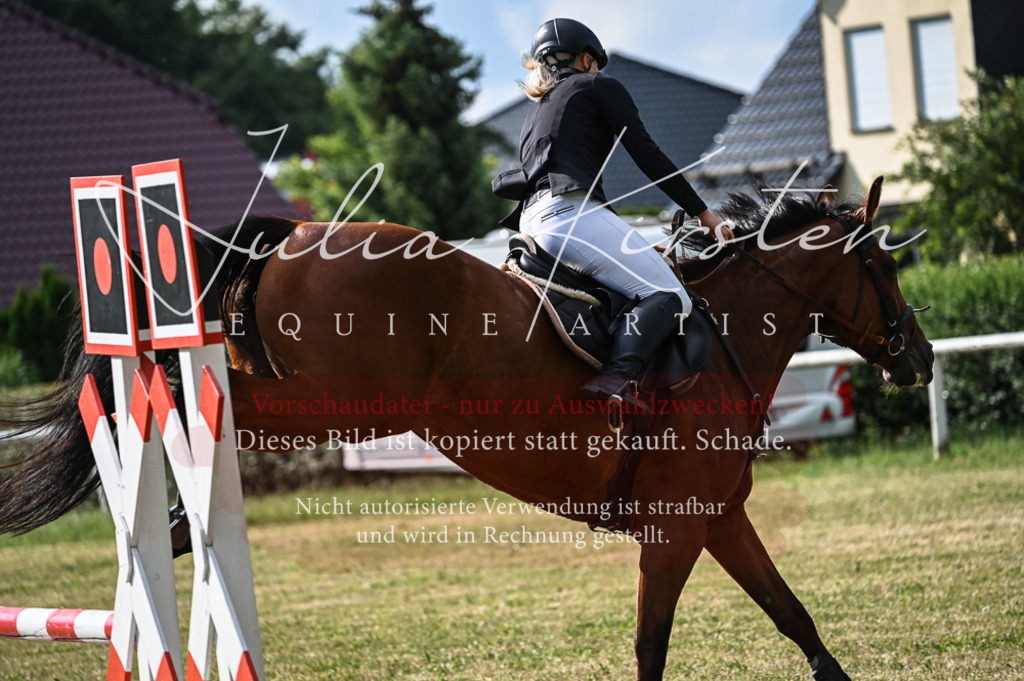DSC_7807 | Pferde- und Turnierfotografie in Westsachsen. Pferdeportraits, Auftragszeichnungen und intuitive Kunst.