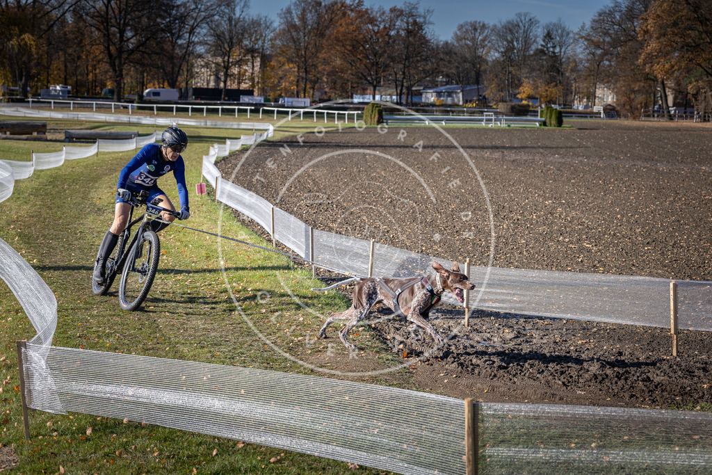 CaniXpix_DV3A6962 | Hundefotografie, Tierfotograf, Pfotenfotografie, Fotoshooting Hund, Hunde Portrait, Hundesport, Hundeportraits, Heideshooting, Hunde, Sportfotograf, Hundefotograf, Turnierhundsport, THS,  - Realisiert mit Pictrs.com
