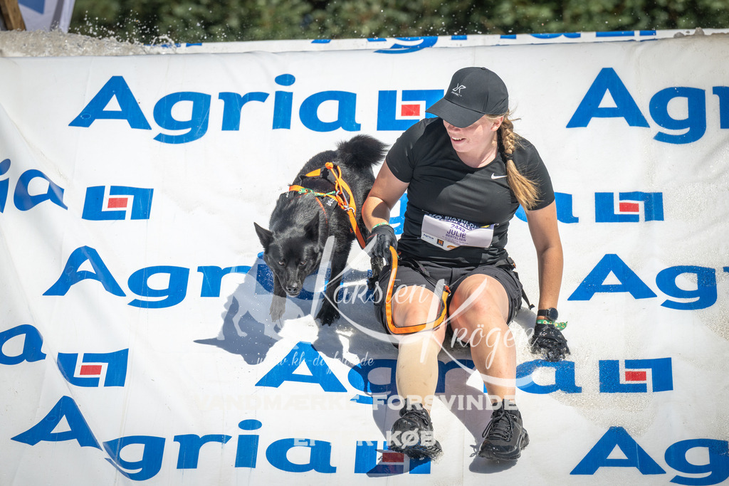 1310_ZZ98662 | kk-dogfotos