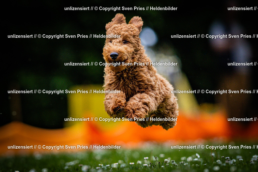 Sven Pries | 2025-05-29 - Pudelrennen KA-Durlach - Realisiert mit Pictrs.com