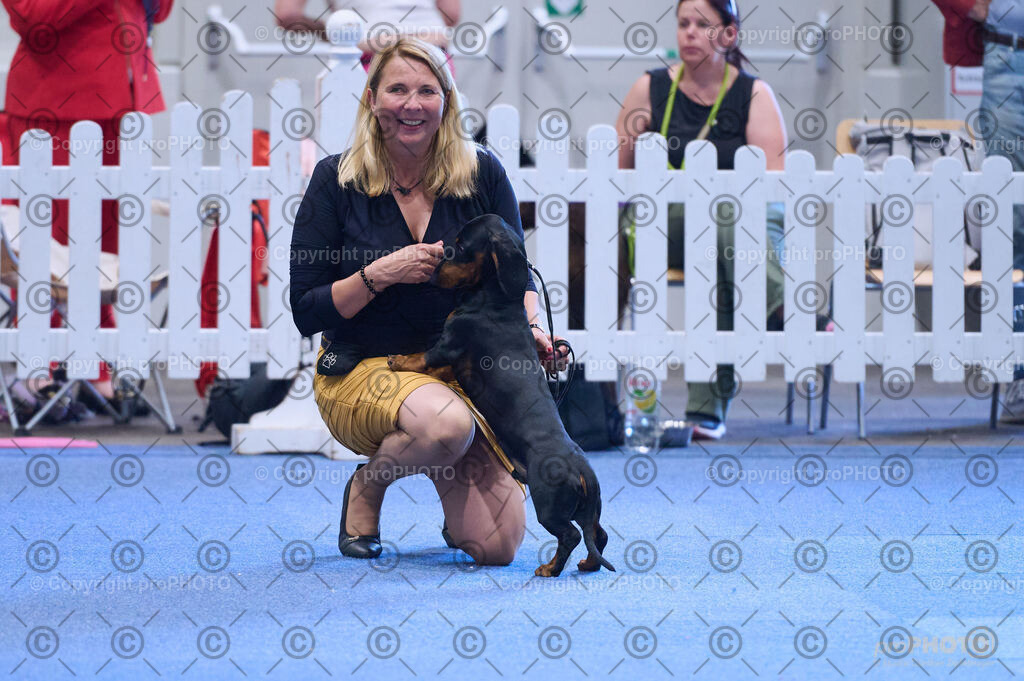 202406_ÖKV-IHA-Tulln24_DSC_3879 | proPHOTO - Realisiert mit Pictrs.com