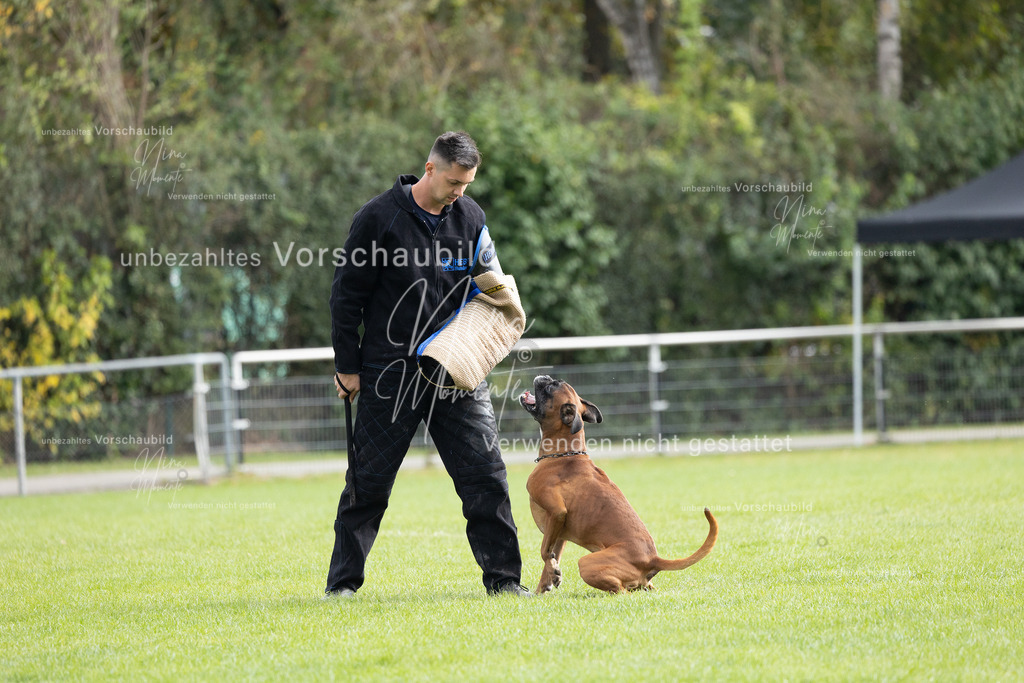 _16A7038 | Einzigartige Fotos von Hunden & Menschen –Actionfotos, Portraits, Vereinsaufnahmen & Paarshootings – authentisch, lebendig & mit Herz.