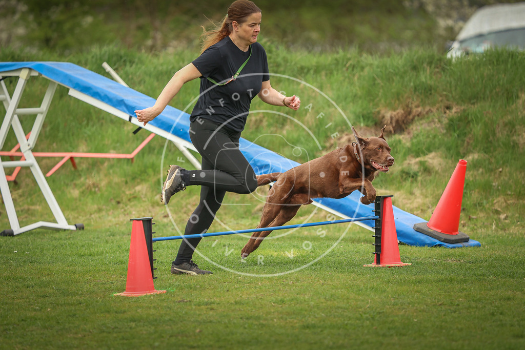 Pfotenfotografie_0L8A1095 | Hundefotografie, Tierfotograf, Pfotenfotografie, Fotoshooting Hund, Hunde Portrait, Hundesport, Hundeportraits, Heideshooting, Hunde, Sportfotograf, Hundefotograf, Turnierhundsport, THS,  - Realisiert mit Pictrs.com