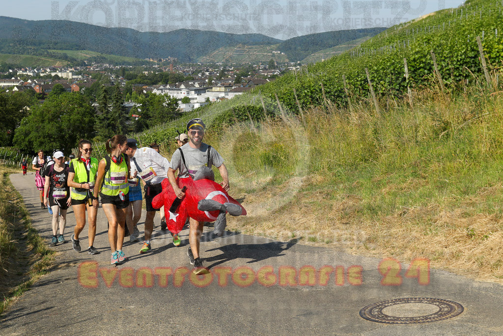 230617_0926_EV9_6538 | Sportfotografie im Rhein-Sieg Kreis, Köln, Bonn, NRW, Rheinland Pfalz, Hessen, etc. Unser Tätigkeitsfeld umfasst den Laufsport vom Volkslauf über den Marathon, Duathlon, Triathon bis zum Ultralauf wie Kölnpfad Ultra oder Schindertrail.