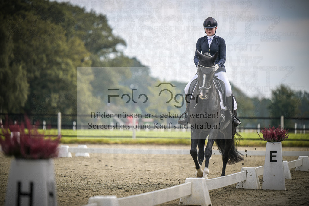 DOS_B590 | Entdecke hochwertige Reitturnierfotos von Foto Oger. Professionell, emotional und authentisch – jetzt Lieblingsmomente im Shop bestellen.Deutschlandweite Turnierfotografie. - Realisiert mit Pictrs.com