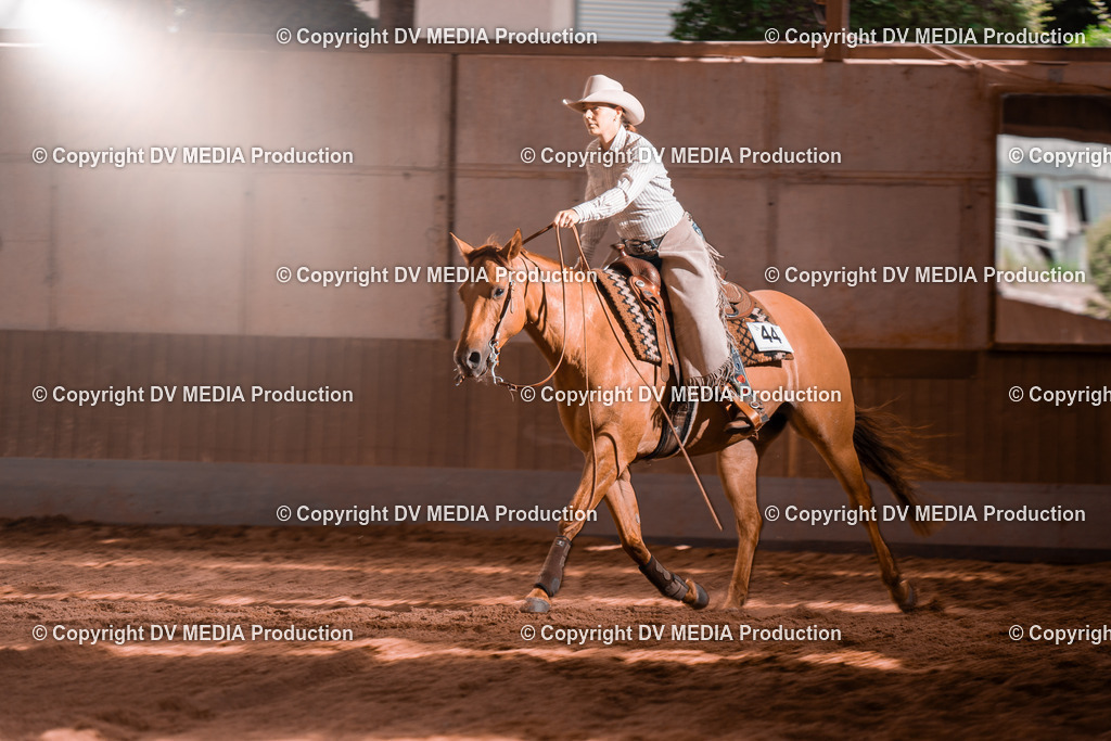 NE100774 | dv-media-shop - Realisiert mit Pictrs.com