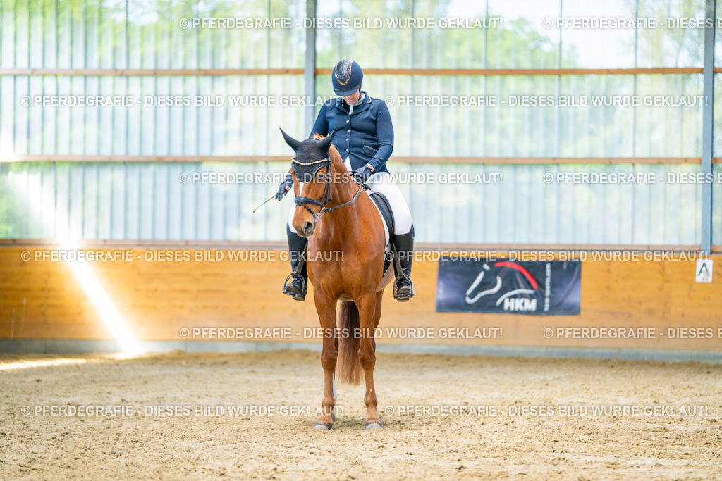 DSC07492 | Pferdegrafie