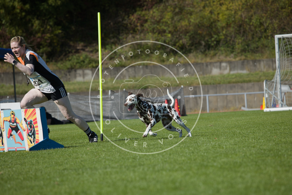 0L8A7844 | Hundefotografie, Tierfotograf, Pfotenfotografie, Fotoshooting Hund, Hunde Portrait, Hundesport, Hundeportraits, Heideshooting, Hunde, Sportfotograf, Hundefotograf, Turnierhundsport, THS,  - Realisiert mit Pictrs.com