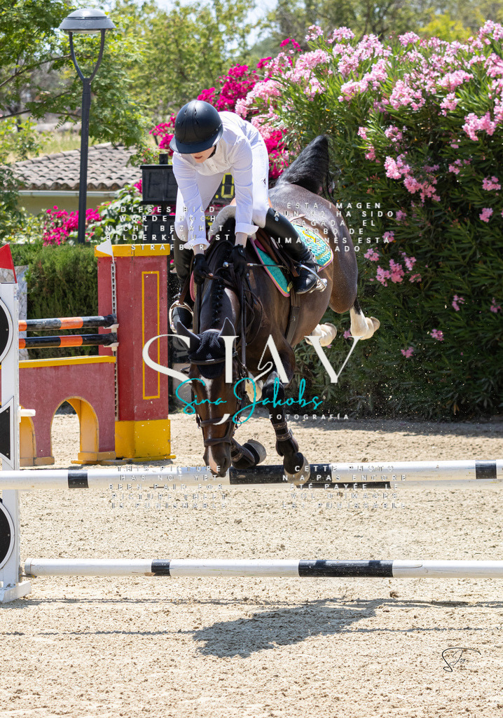 IMG_7401 | s-jay-photography - Realisiert mit Pictrs.com