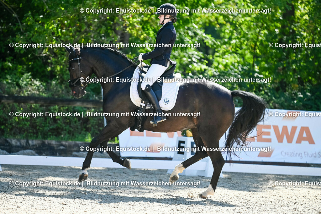 20230908_06_Dressur-L-Trense_0579 | equistock