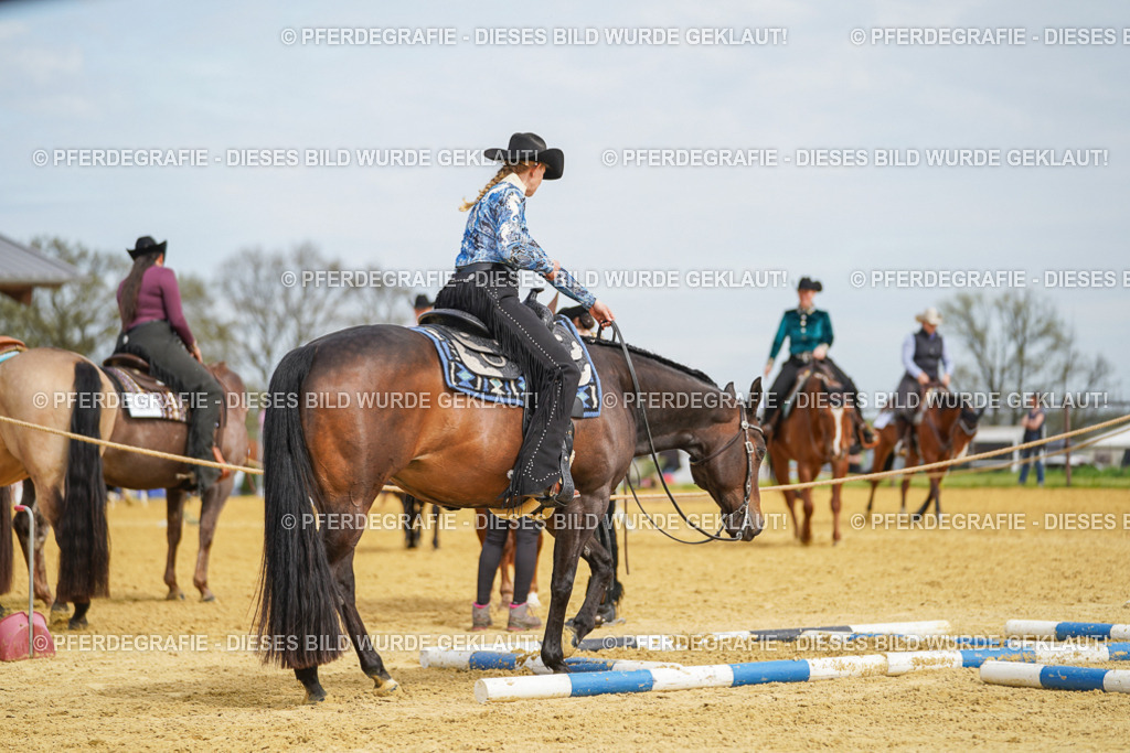 DSC03549 | Pferdegrafie