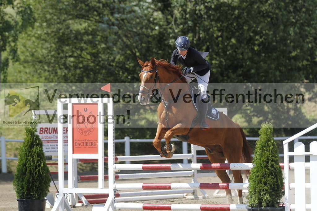 _MG_1665 | equestrian-live-com