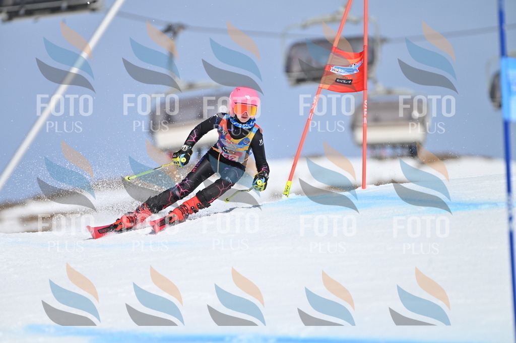 BGV_0009 | holidayphoto