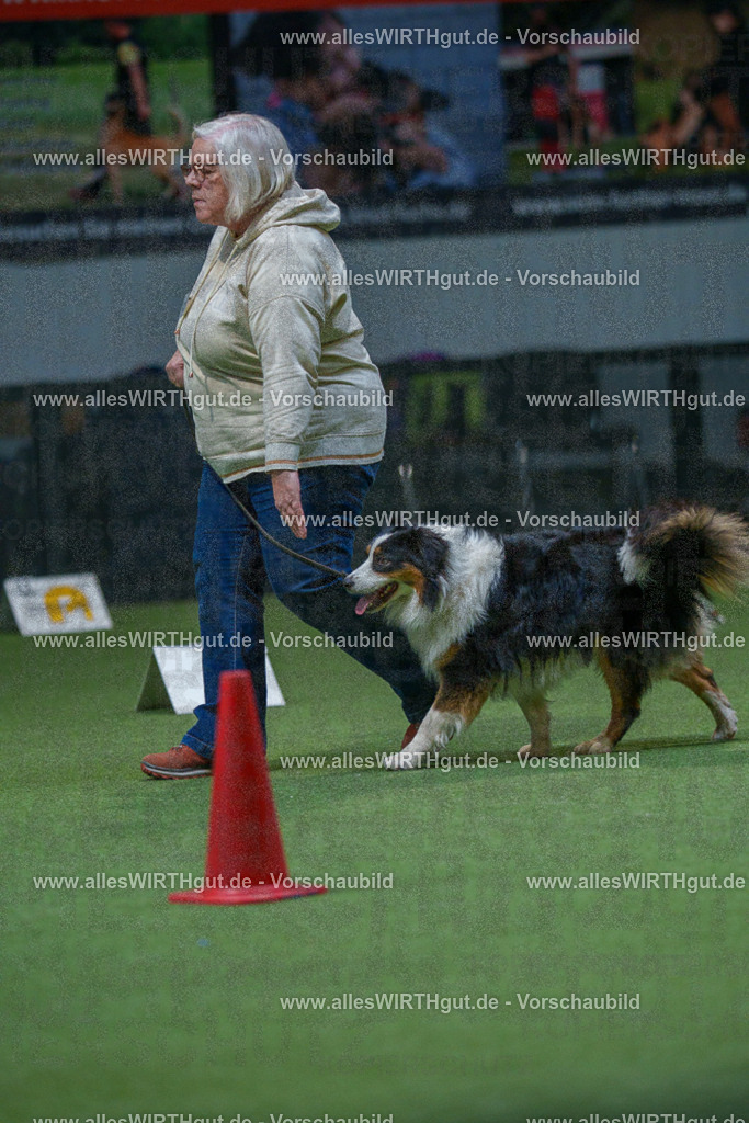 7R501452 | Professionelle Tierfotografie in Mönchengladbach von Daniel Wirth (allesWIRTHgut). Liebevolle & natürliche Bilder von Hunden & Katzen für unvergessliche Erinnerungen.