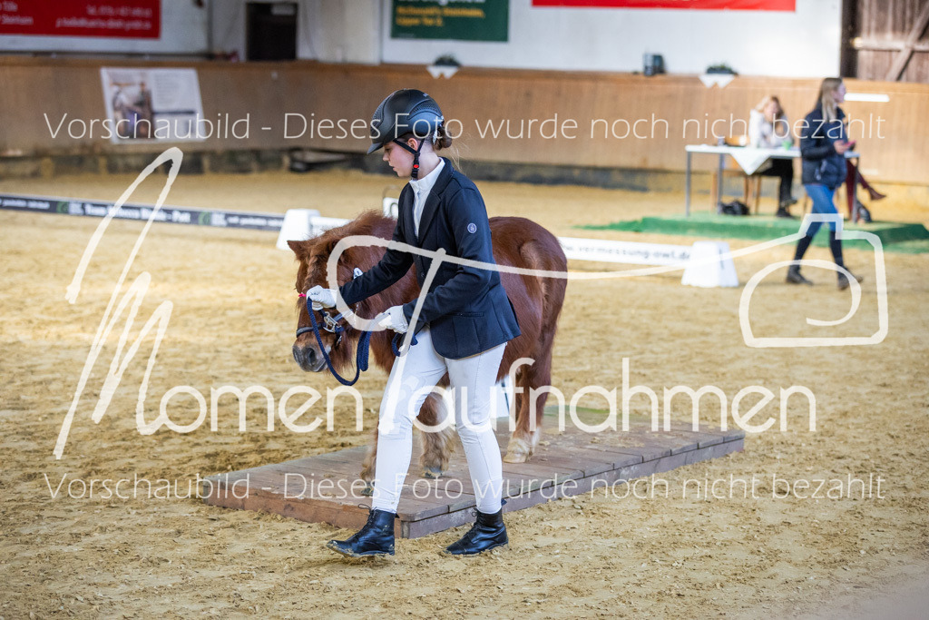 Sth-WBO25-Führ-WB-073 | MomenTaufnahmen Pferdesportfotos