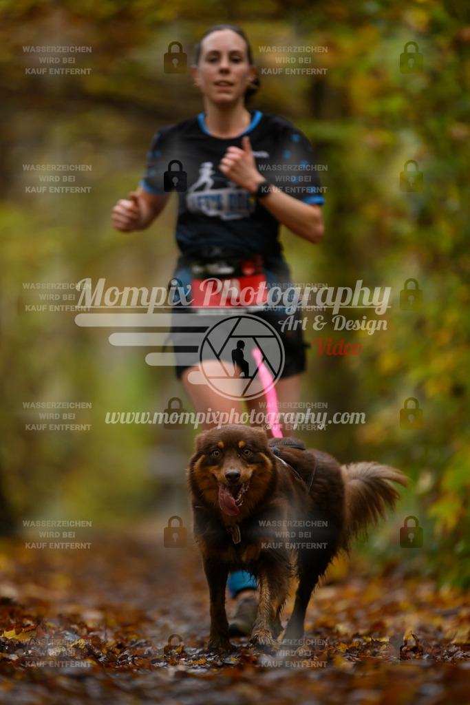 MompixPhotography_CD7S_DI_CCL-120 | mompixphotography