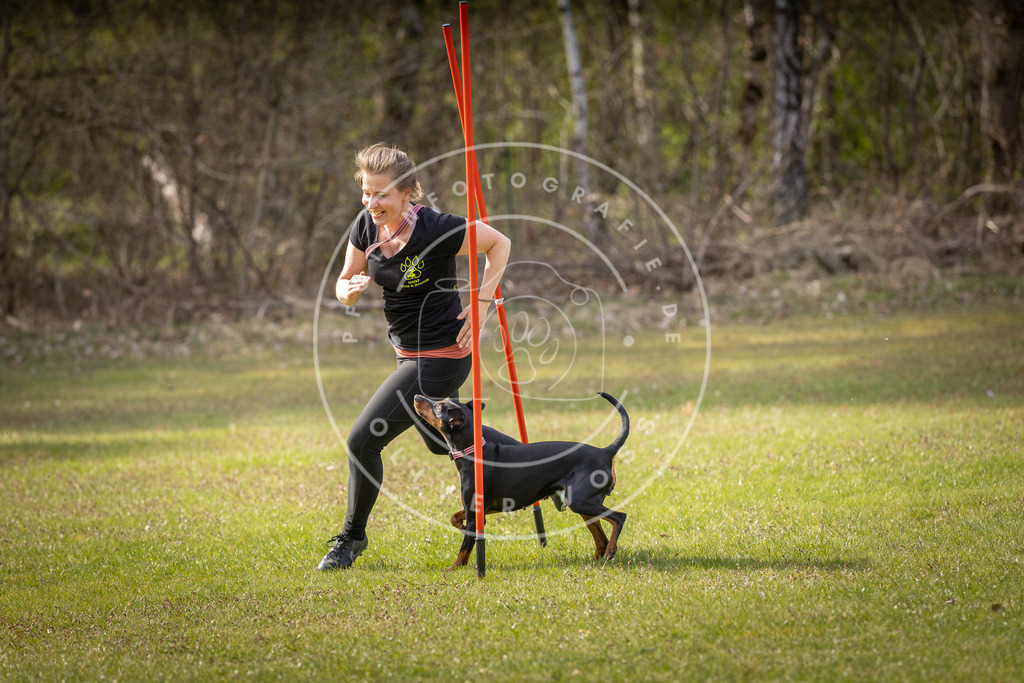 Pfotenfotografie_DV3A9960 | Hundefotografie, Tierfotograf, Pfotenfotografie, Fotoshooting Hund, Hunde Portrait, Hundesport, Hundeportraits, Heideshooting, Hunde, Sportfotograf, Hundefotograf, Turnierhundsport, THS,  - Realisiert mit Pictrs.com