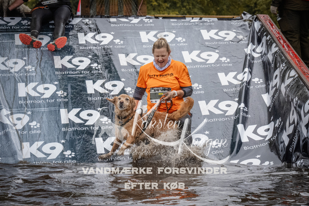 1152_ZZ93735 | kk-dogfotos