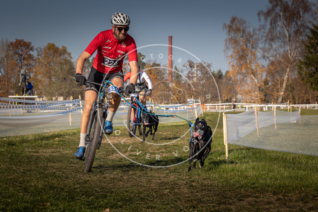 CaniXpix_0L8A7953 | Hundefotografie, Tierfotograf, Pfotenfotografie, Fotoshooting Hund, Hunde Portrait, Hundesport, Hundeportraits, Heideshooting, Hunde, Sportfotograf, Hundefotograf, Turnierhundsport, THS,  - Realisiert mit Pictrs.com