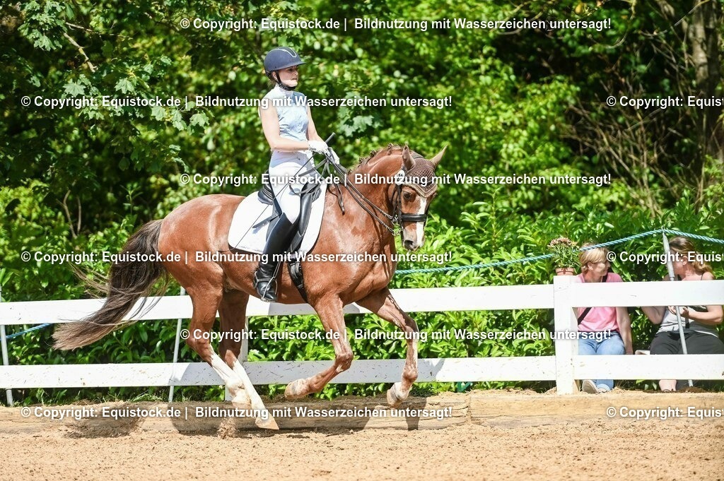 20230716_01_Dressurprüfung Kl.M_0266 | equistock