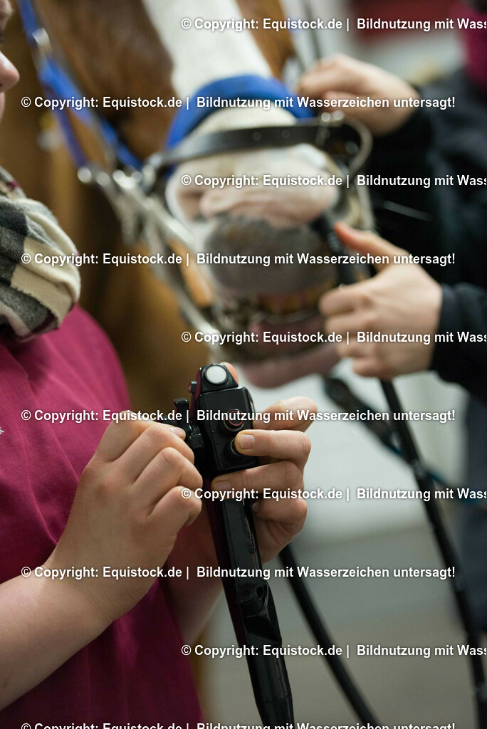 20170113_Endoskopie_0015 | Foto: Thomas Hartig