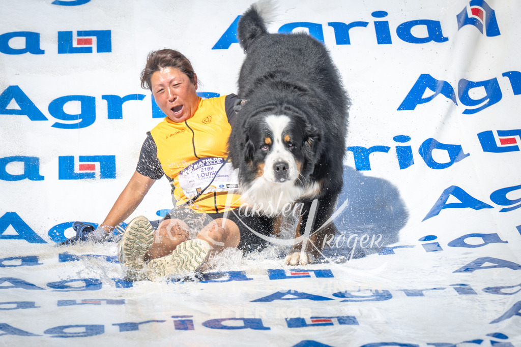 1623_ZZ99693 | kk-dogfotos