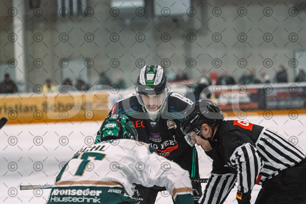 Alligators_vs_Erding_12_12_2025-113 | Höchstadt Alligators Fotogalerie: Eishockey-Action aus Franken. Professionelle Spielfotos, Portraits & Stadionbilder zum Download. Jetzt entdecken! - Realisiert mit Pictrs.com