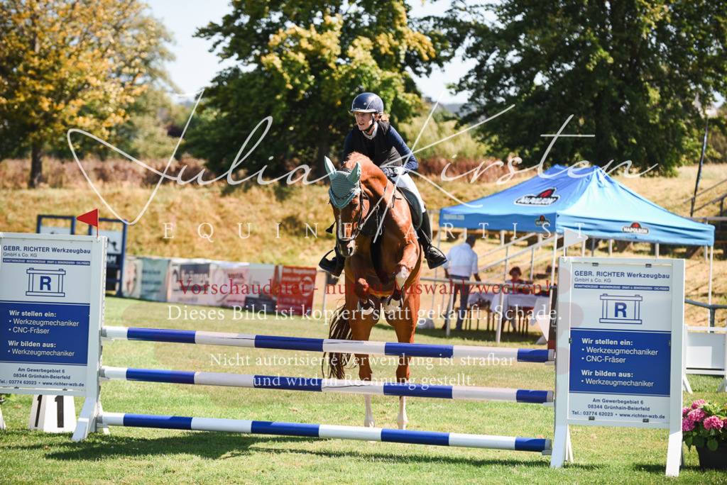 DSC_2841 | Pferde- und Turnierfotografie in Westsachsen. Pferdeportraits, Auftragszeichnungen und intuitive Kunst.