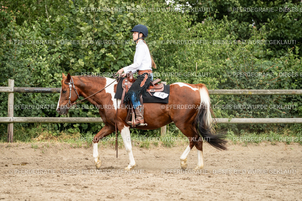 DSC03804 | Pferdegrafie