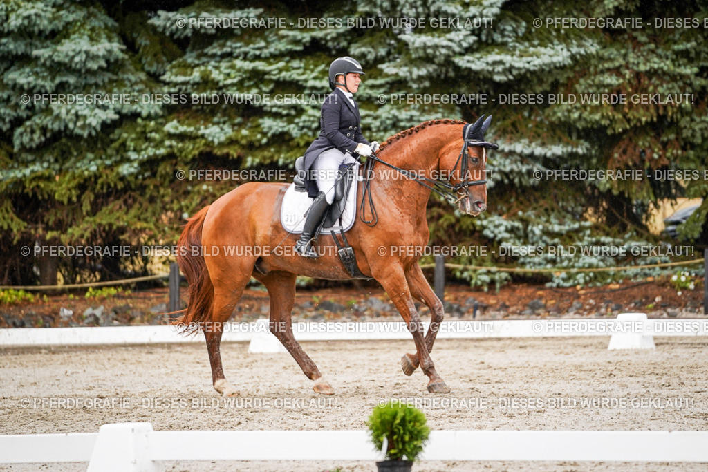 DSC09600 | Pferdegrafie