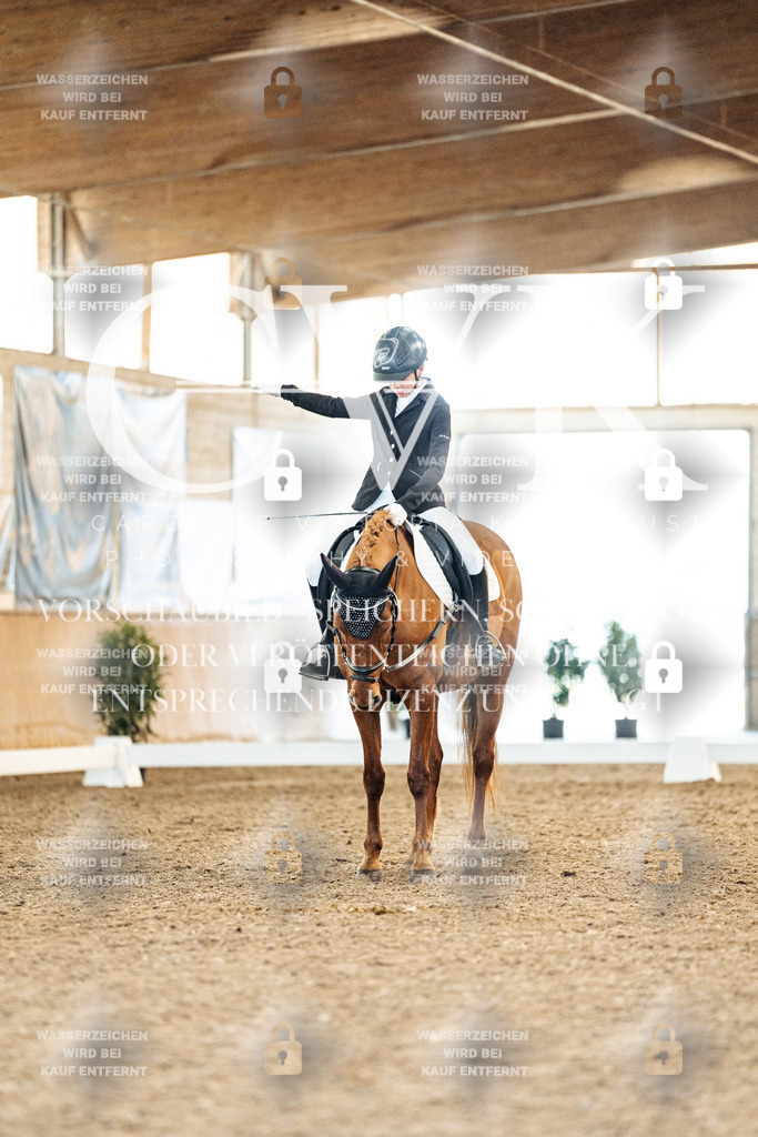 CK907924 | Turnierfotografie Pferdefotografie Trier Rheinland-Pfalz Pferdesport Reitsport Tierfotografie Sportfotografie Pferdevideo Pferdevideografie Equestrianvideography equestrianphotography  - Realisiert mit Pictrs.com