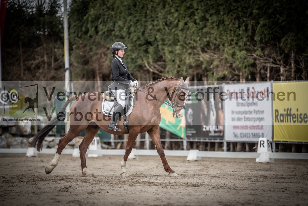 DSC_3078 | equestrian-live-com