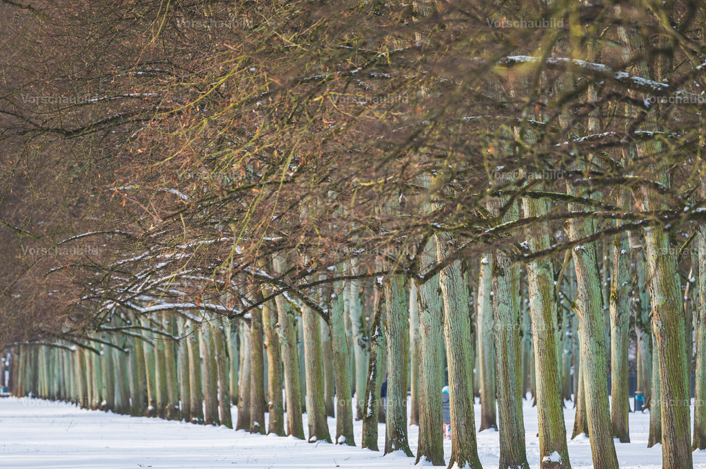 Celle im Schnee | Stadtlandschaften, sowie Makro-, Landschafts-, Natur- und Schwarzweißfotos aus der Region Celle &amp; Umgebung