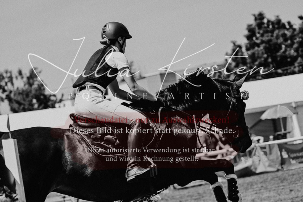 DSC_0286 | Pferde- und Turnierfotografie in Westsachsen. Pferdeportraits, Auftragszeichnungen und intuitive Kunst.