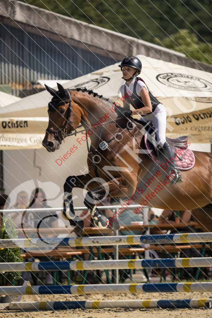 IMG_2964 | Sport-, Event- und Tierfotos in Profiqualität. Einfach auswählen, bestellen und herunterladen. Dein Moment – perfekt festgehalten.