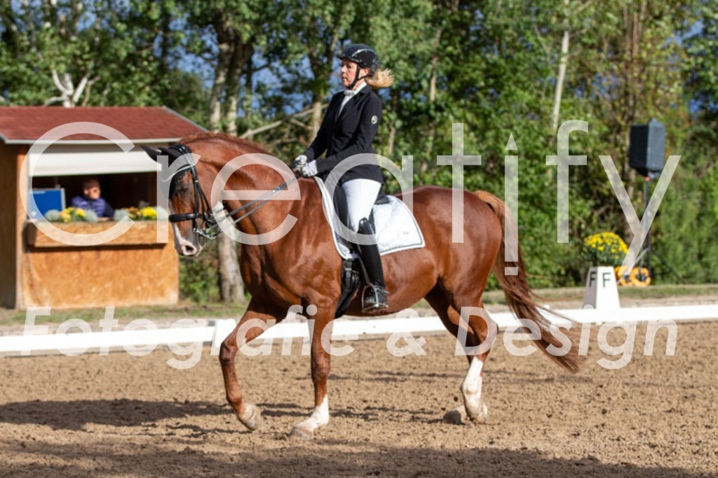 IMG_6185 | Creatify Fotografie