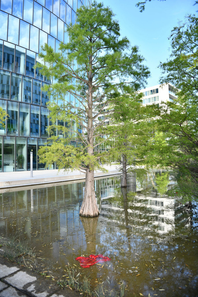 D85_0548 | Foto-Agnes Shop - Realisiert mit Pictrs.com