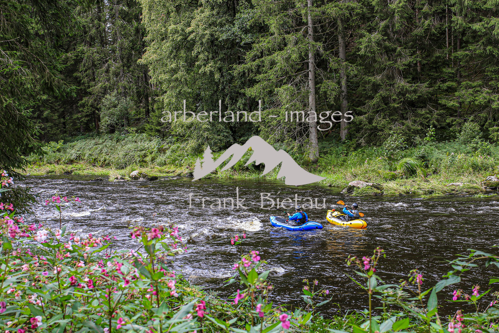 OE7A6753 | die Flusslandschaft am Regen im Bayerischen Wald wird auch als Bayerisch Kanda bezeichnet
