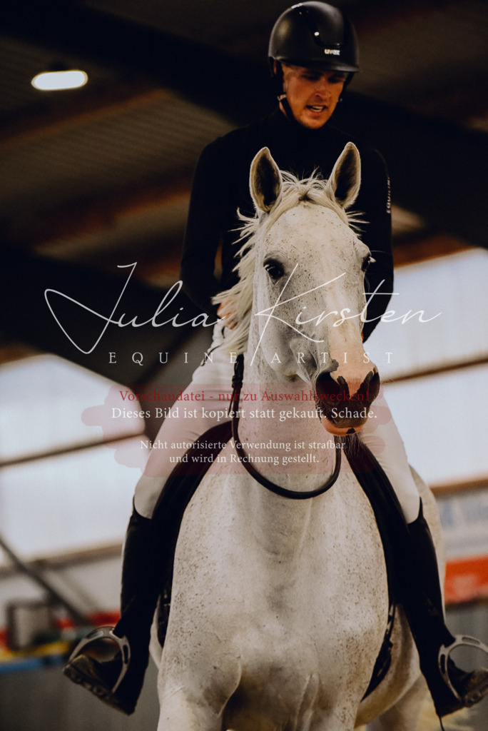 DSC_6968 | Pferde- und Turnierfotografie in Westsachsen. Pferdeportraits, Auftragszeichnungen und intuitive Kunst.