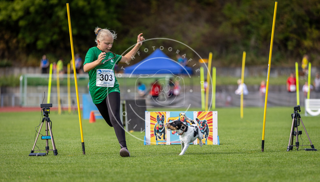 Pfotenfotografie_DV3A1049 | Hundefotografie, Tierfotograf, Pfotenfotografie, Fotoshooting Hund, Hunde Portrait, Hundesport, Hundeportraits, Heideshooting, Hunde, Sportfotograf, Hundefotograf, Turnierhundsport, THS,  - Realisiert mit Pictrs.com
