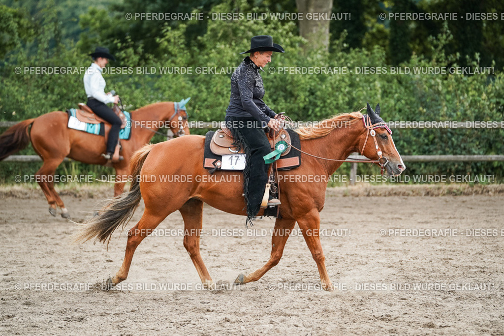 DSC04142 | Pferdegrafie