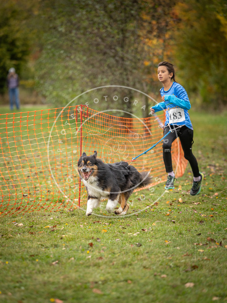 Pfotenfotografie_DV3A3660 | Hundefotografie, Tierfotograf, Pfotenfotografie, Fotoshooting Hund, Hunde Portrait, Hundesport, Hundeportraits, Heideshooting, Hunde, Sportfotograf, Hundefotograf, Turnierhundsport, THS,  - Realisiert mit Pictrs.com