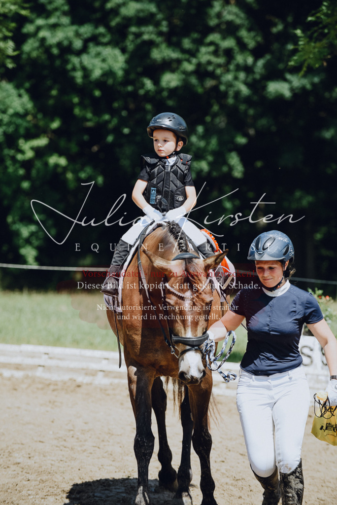 DSC_2724 | Pferde- und Turnierfotografie in Westsachsen. Pferdeportraits, Auftragszeichnungen und intuitive Kunst.