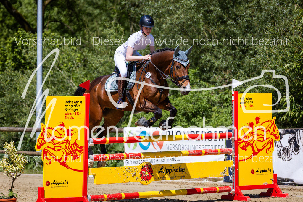 Donop24-Stil-L-019 | MomenTaufnahmen Pferdesportfotos