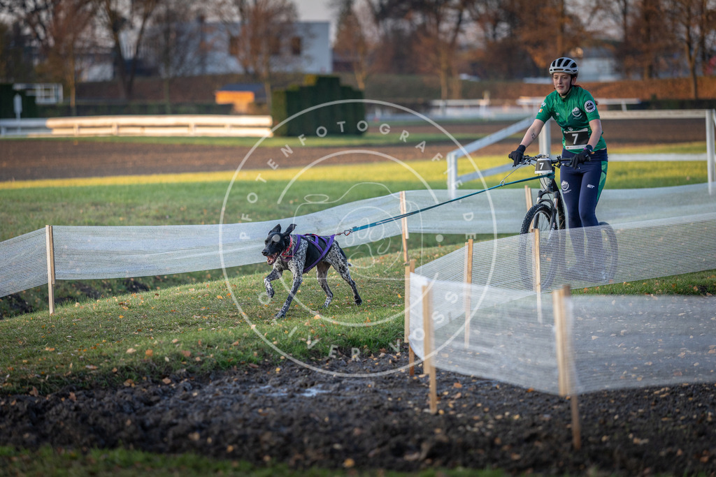 CaniXpix_DV3A9355 | Hundefotografie, Tierfotograf, Pfotenfotografie, Fotoshooting Hund, Hunde Portrait, Hundesport, Hundeportraits, Heideshooting, Hunde, Sportfotograf, Hundefotograf, Turnierhundsport, THS,  - Realisiert mit Pictrs.com