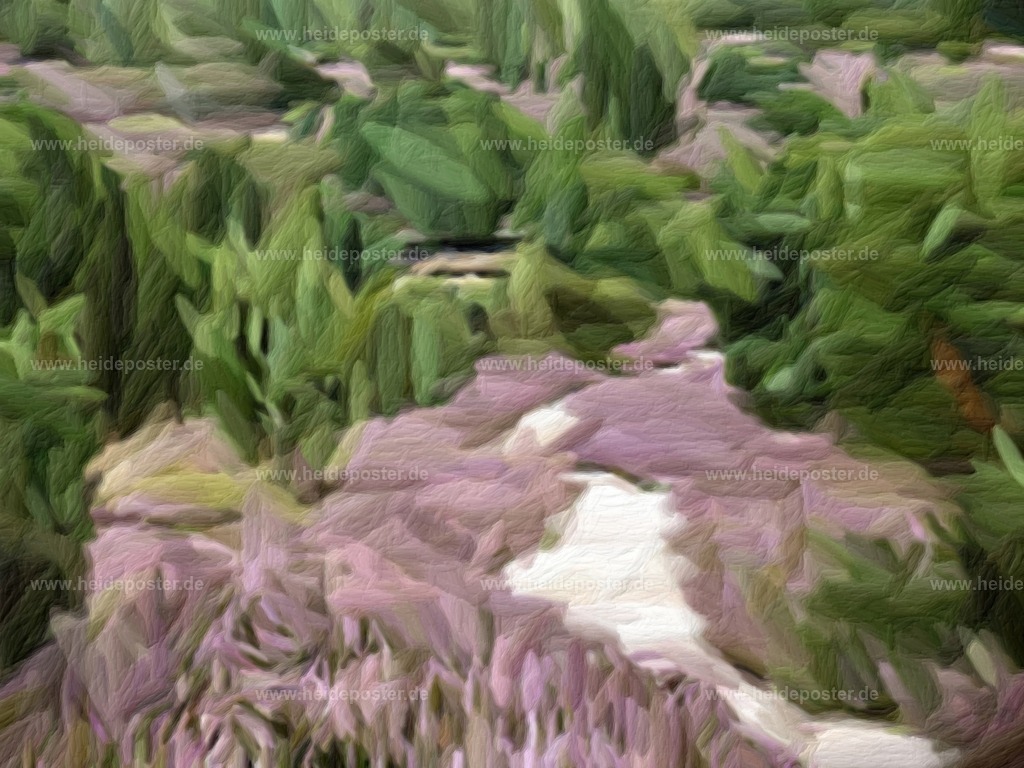 brushed_DSC09535 | Poster aus der Lüneburger Heide - Realisiert mit Pictrs.com