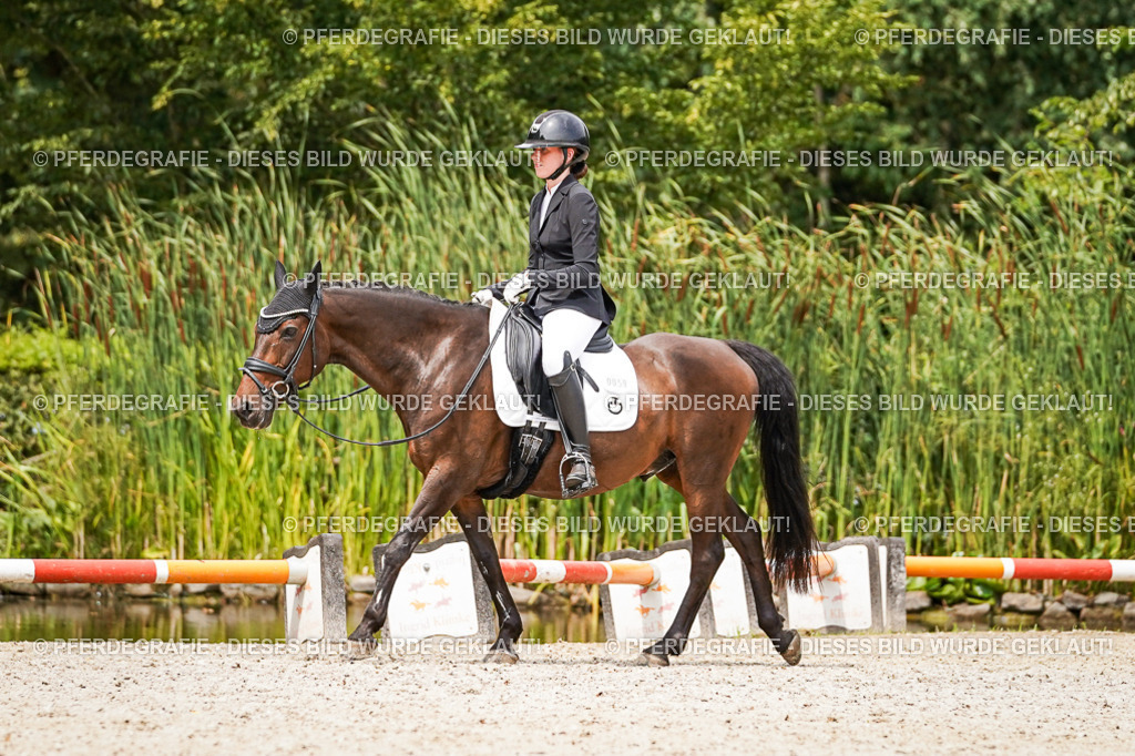 DSC04180 | Pferdegrafie