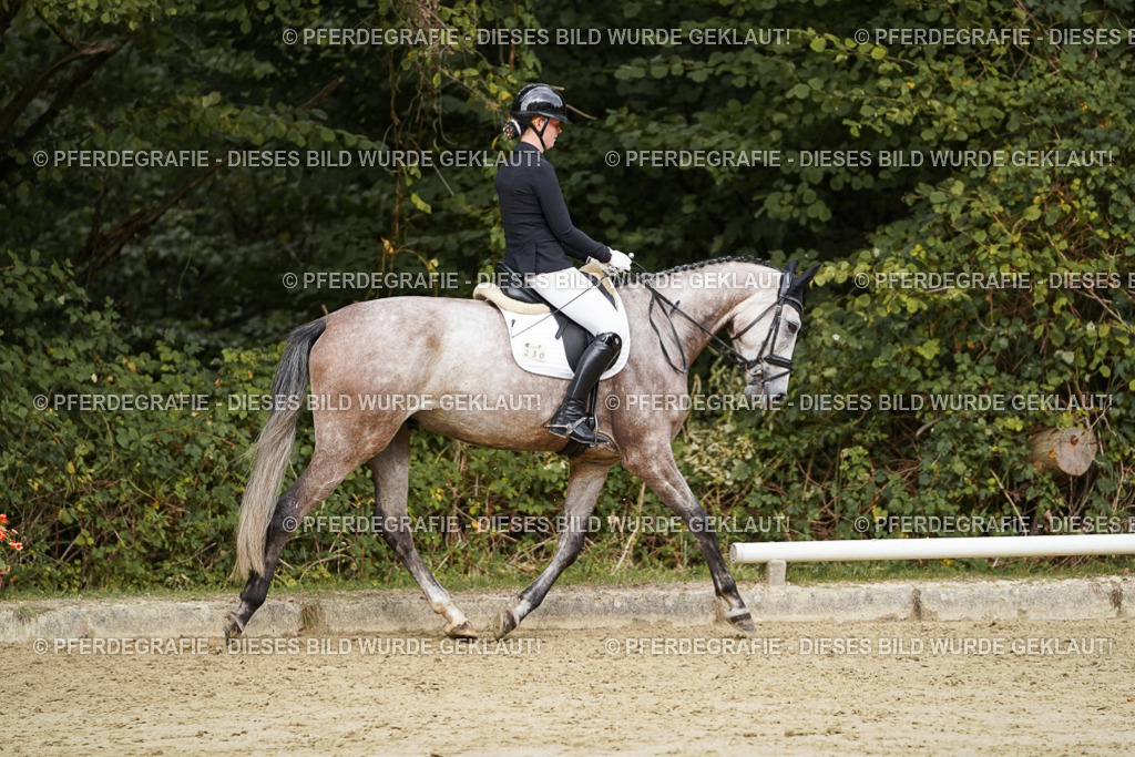 DSC00712 | Pferdegrafie