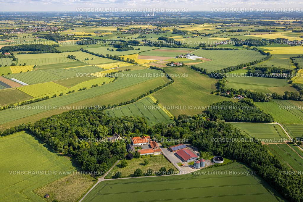 Werl220600626 | Luftbild, Haus Lohe inmitten von Wiesen und Feldern, Westönnen, Werl, Soester Boerde, Nordrhein-Westfalen, Deutschland