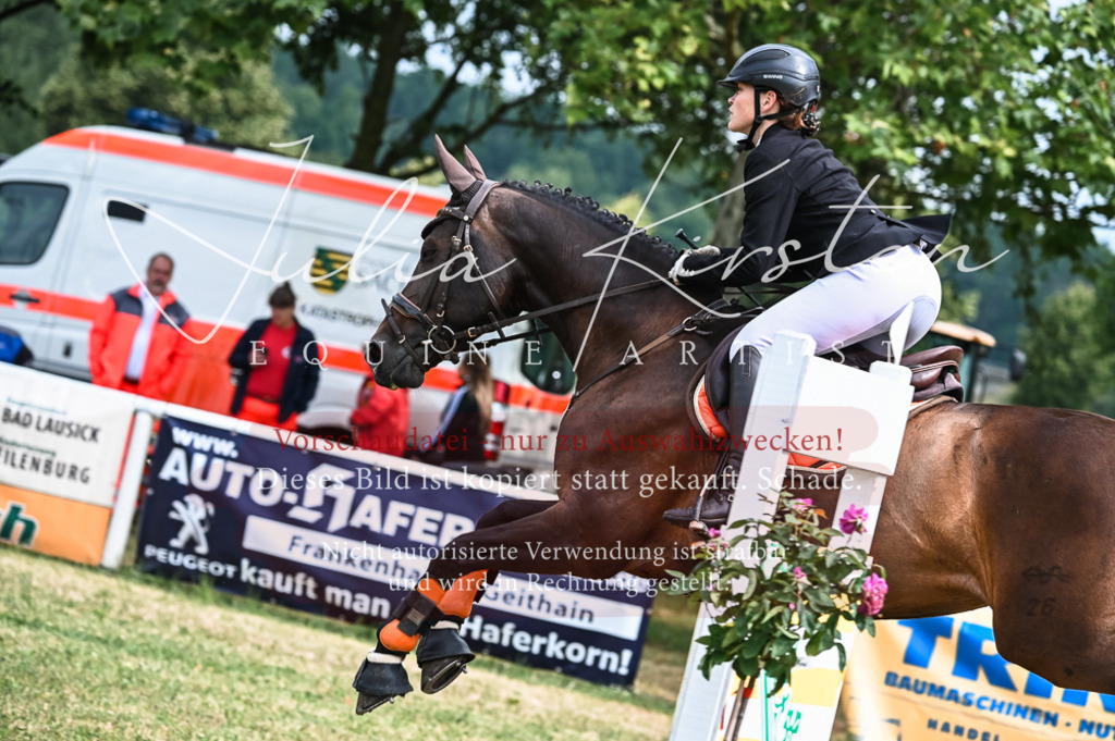 DSC_8295 | Pferde- und Turnierfotografie in Westsachsen. Pferdeportraits, Auftragszeichnungen und intuitive Kunst.